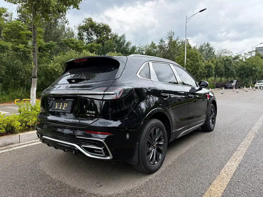 Hongqi Hongqi HS5 — миниатюра 13