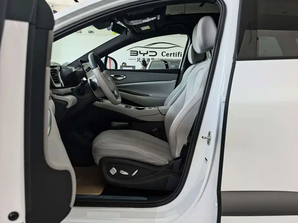 BYD Haisi 06 — миниатюра 3