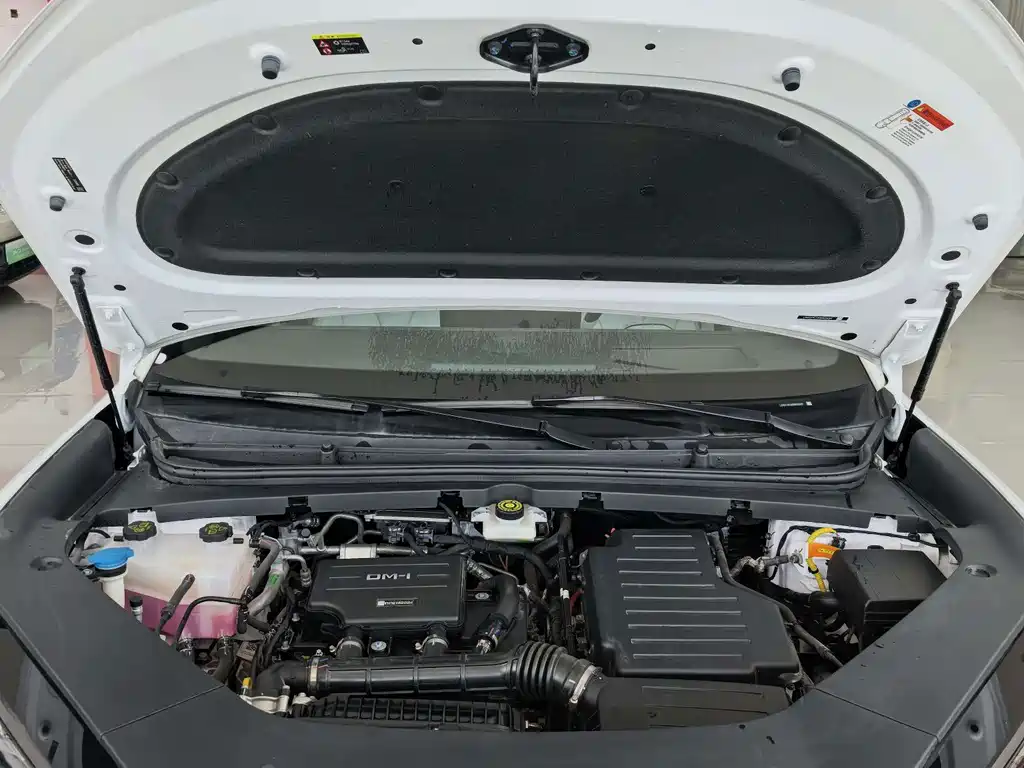 BYD Haisi 06 — миниатюра 7