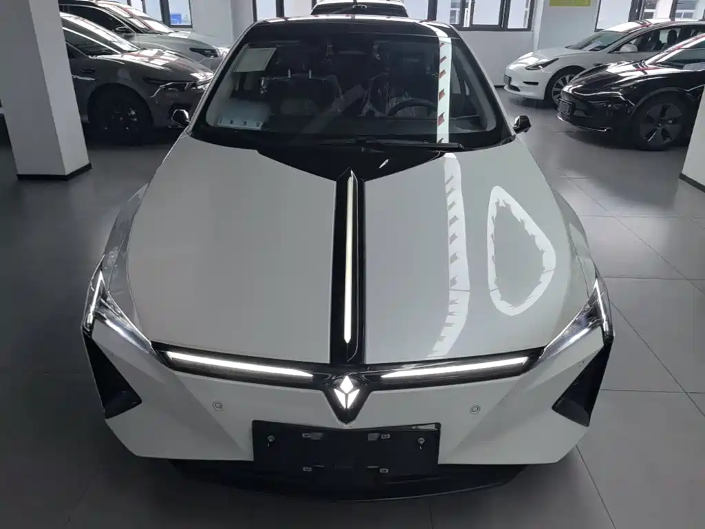 Lingxi Lingxi L — миниатюра 3