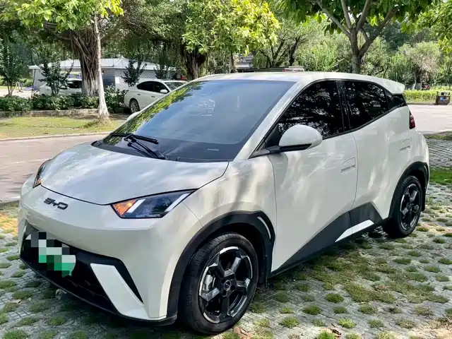 2024 BYD Seagull