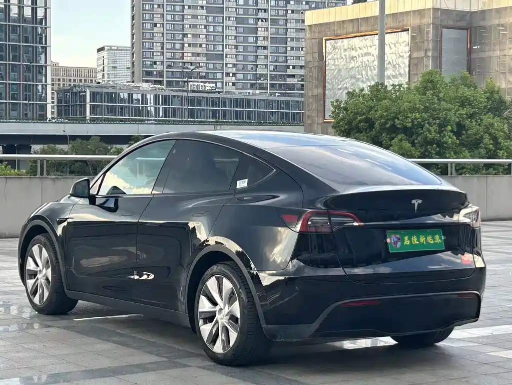 Tesla Model Y — миниатюра 6