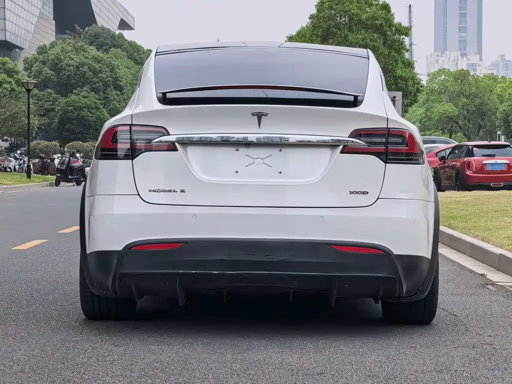 Tesla Model X 2017 Model X 100D