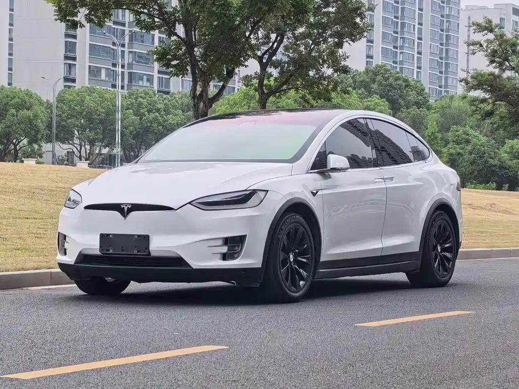 Tesla Model X 2017 Model X 100D