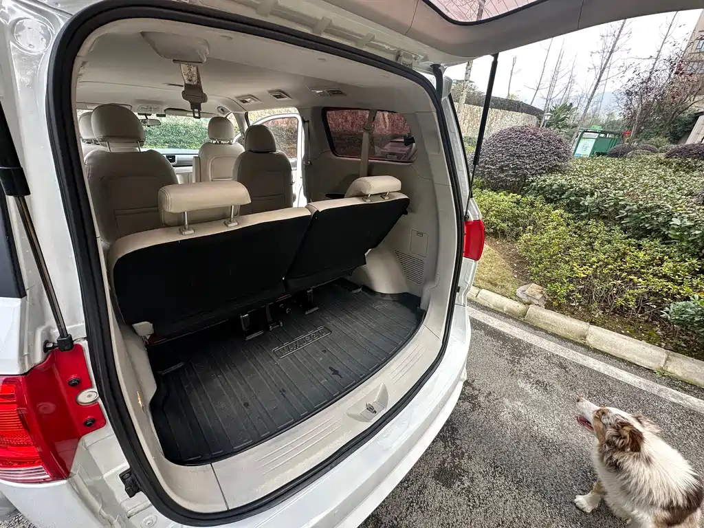 SAIC MAXUS CHASE G10