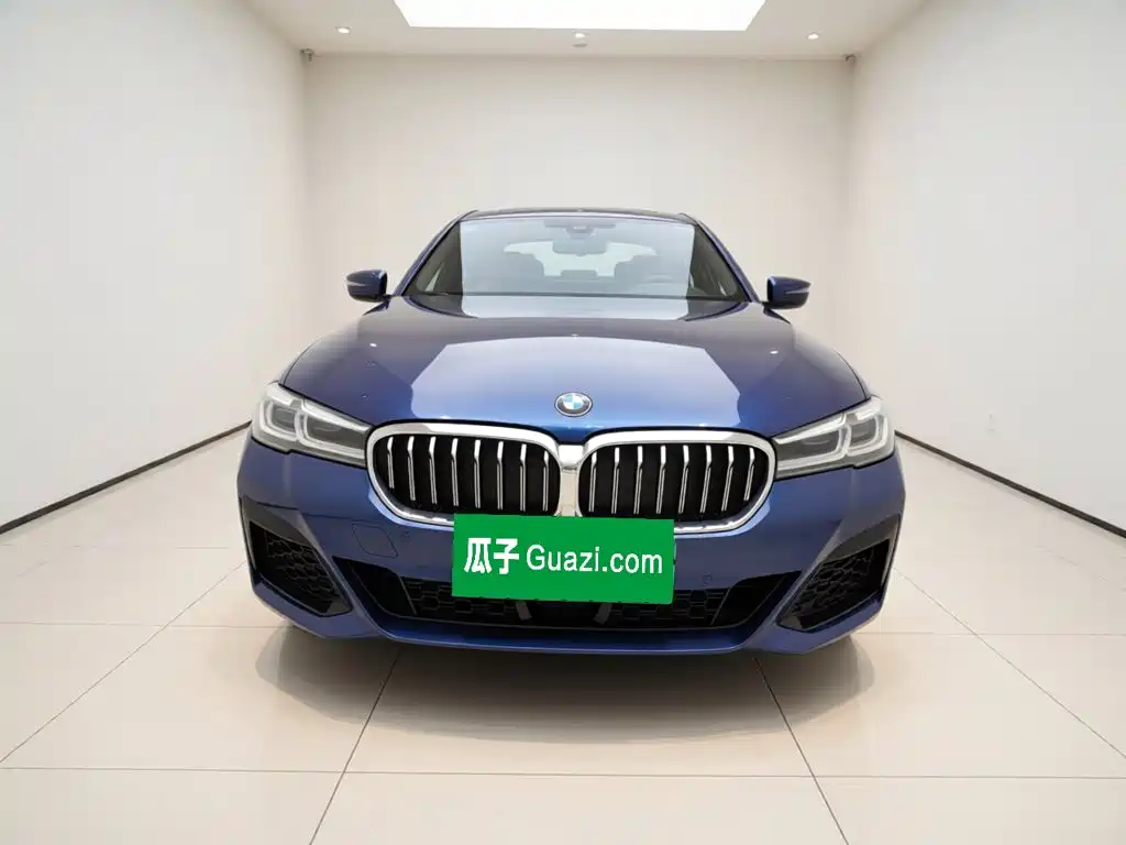 BMW 5 Series New Energy — миниатюра 2