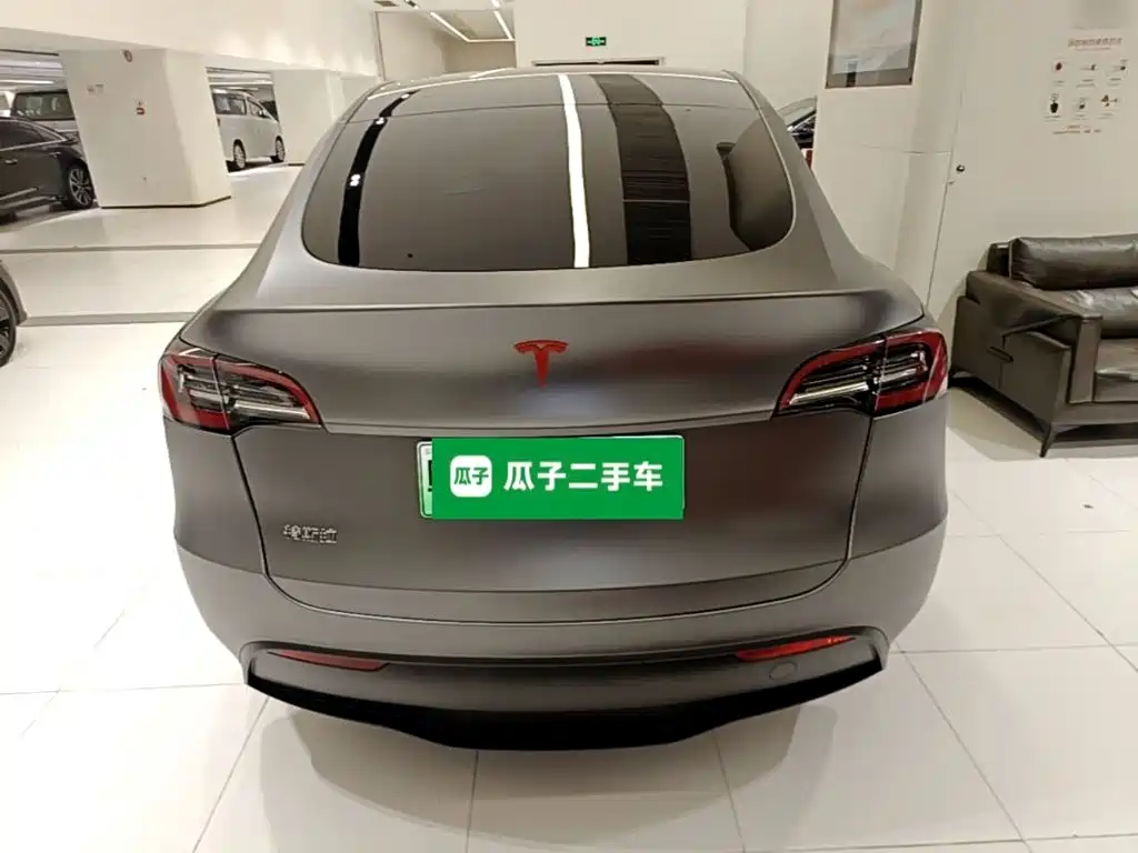 Tesla Model Y — миниатюра 6