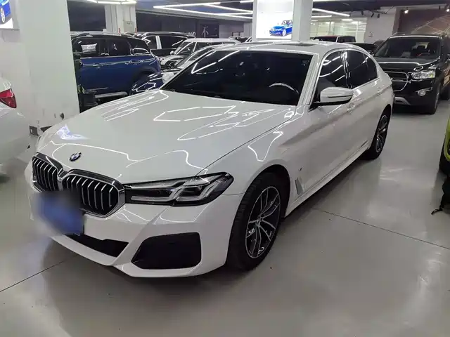 BMW 5 SERIES