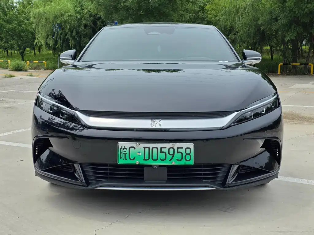 BYD Han — миниатюра 2