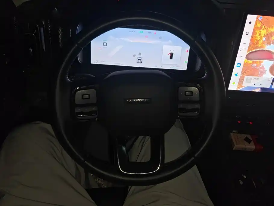 Haval Menglong New Energy — миниатюра 15