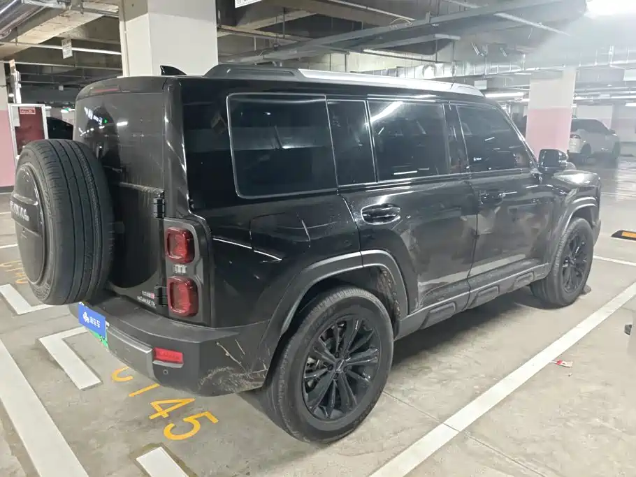 Haval Menglong New Energy — миниатюра 3