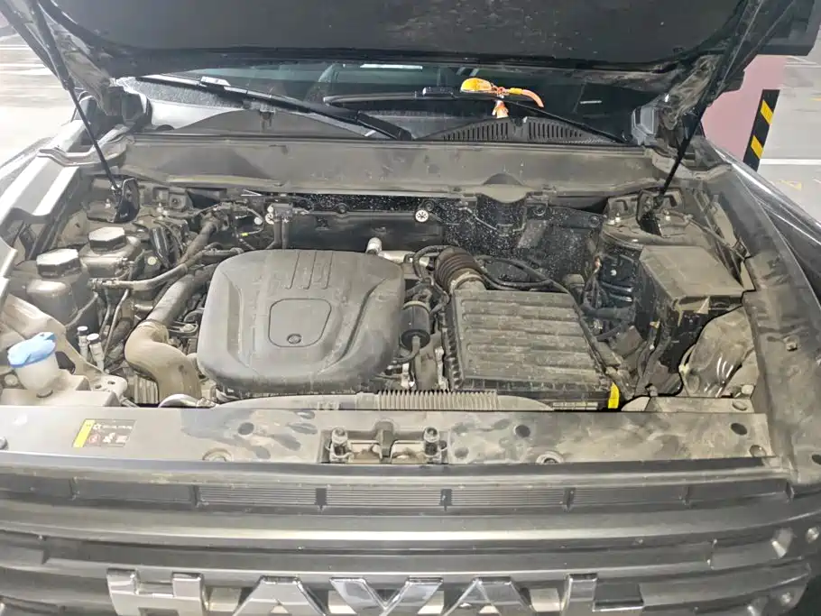 Haval Menglong New Energy — миниатюра 10