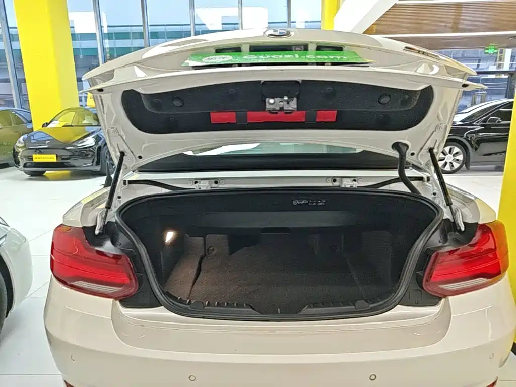 BMW 2 Series (Import) — миниатюра 19