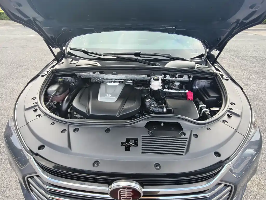 BYD Tang 2021 2.0T AT Flagship
