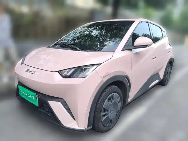 2024 BYD Seagull