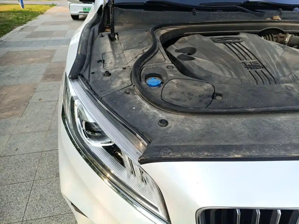 Geely Borui — миниатюра 19