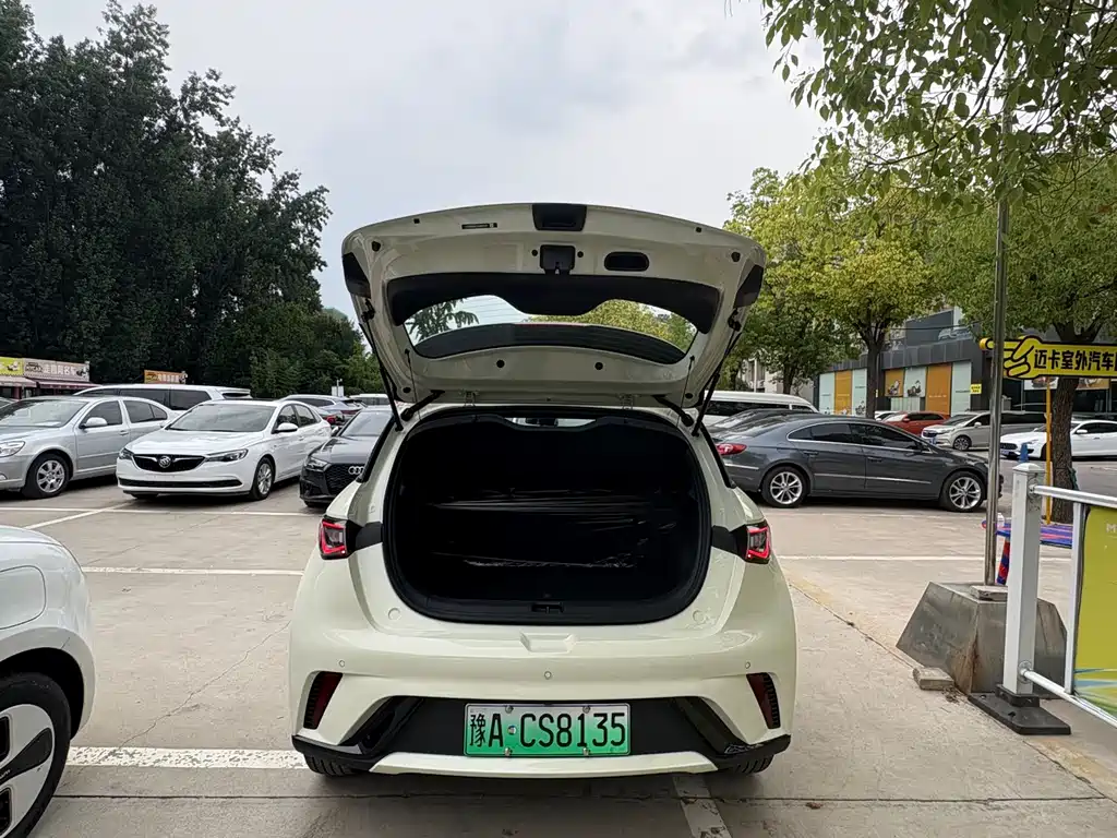 BYD Dolphin 2025 420km Freedom