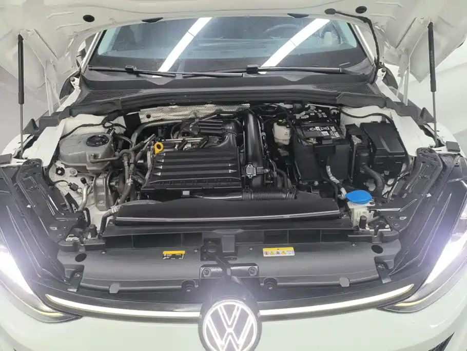 Volkswagen Lamando — миниатюра 10
