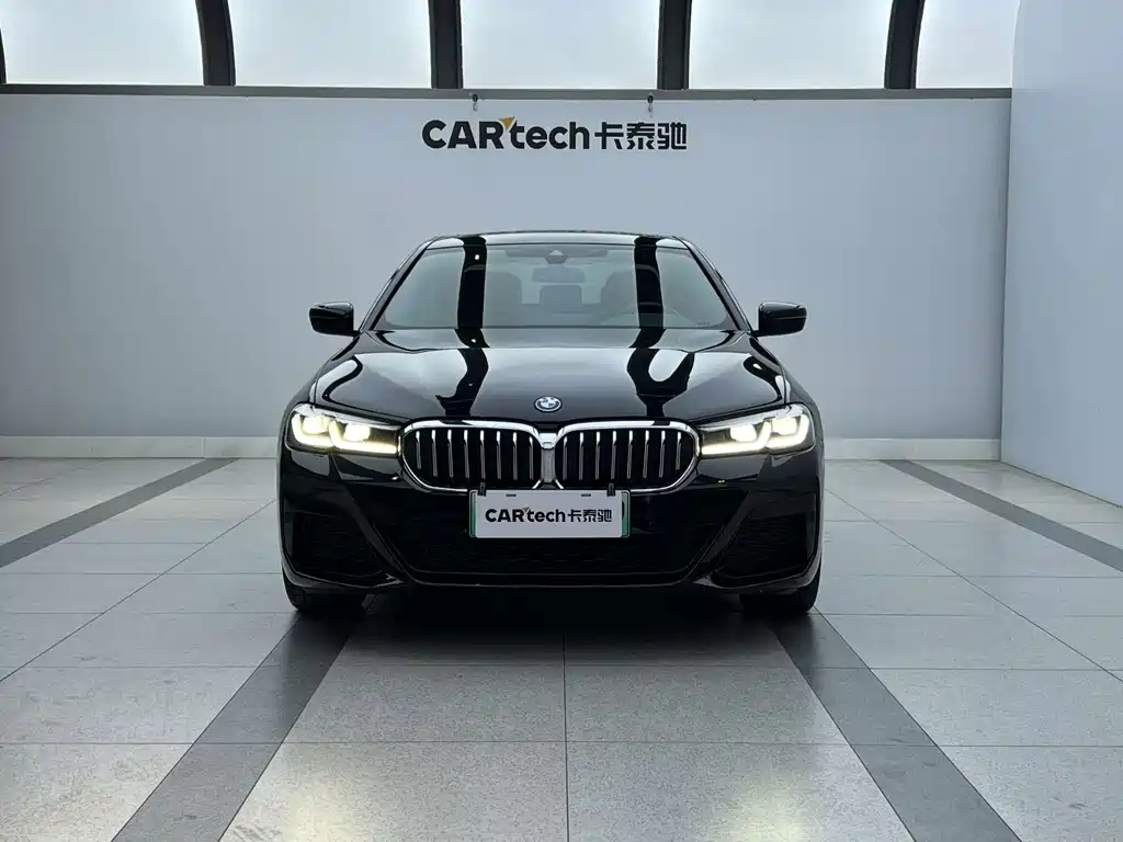 BMW 5 Series New Energy — миниатюра 2