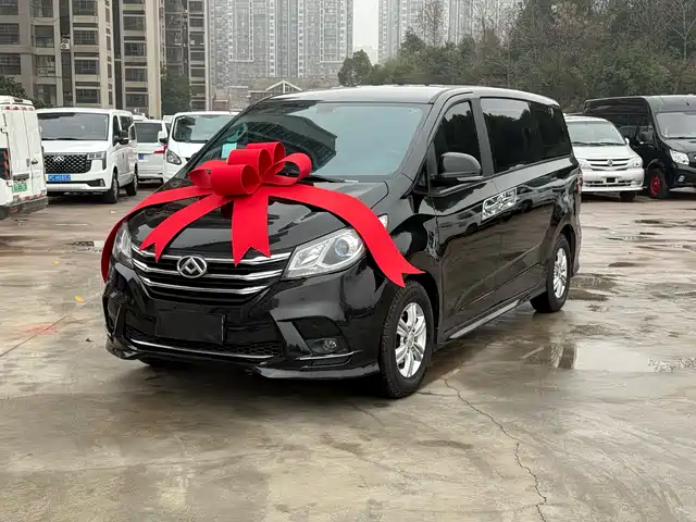 SAIC MAXUS CHASE G10