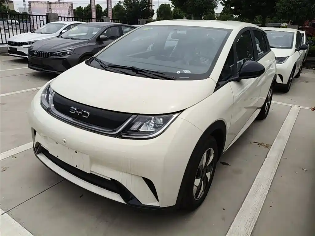BYD Dolphin 2025 420km Freedom