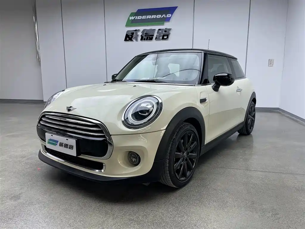 Mini Mini 2020