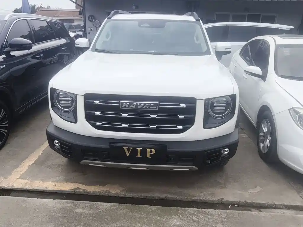 HAVAL BIG DOG