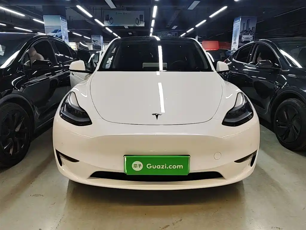 Tesla Model Y 2022 Performance