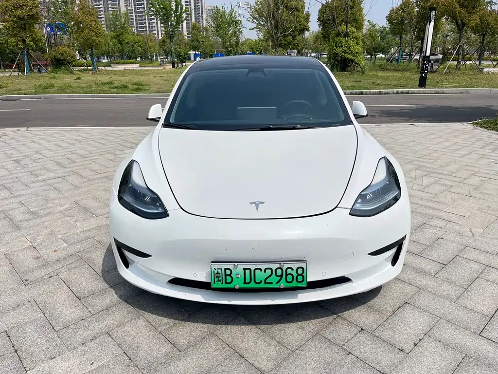 Tesla Model 3 2021 3D6