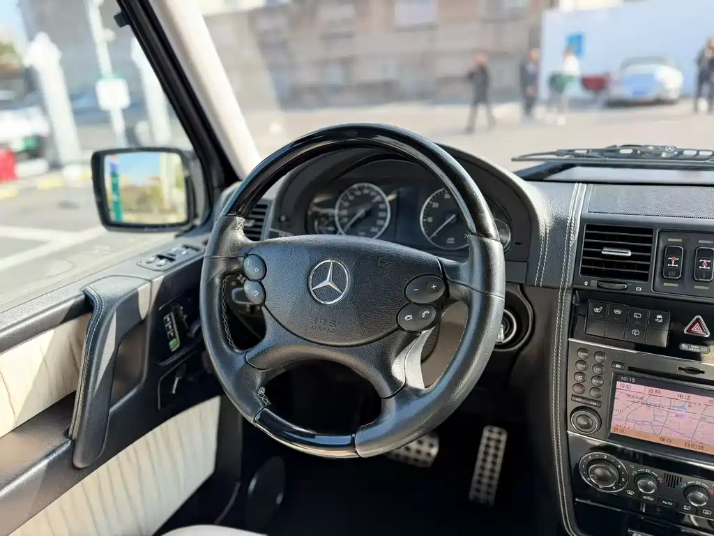 Mercedes-Benz G-Class G 2010 G 500