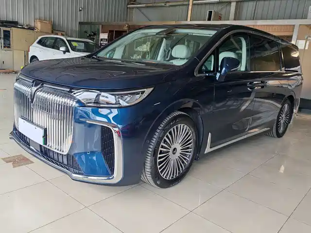 2025 Voyah Dream