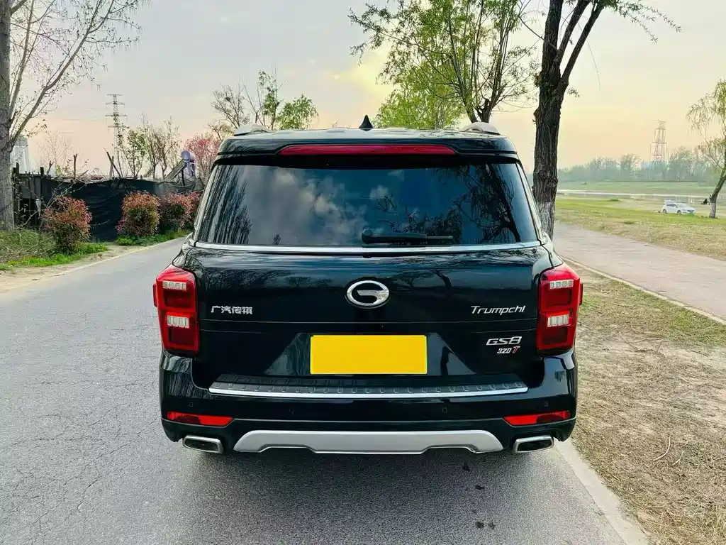 GAC GS8 2017 320T Luxury Smart Connect ( мест)