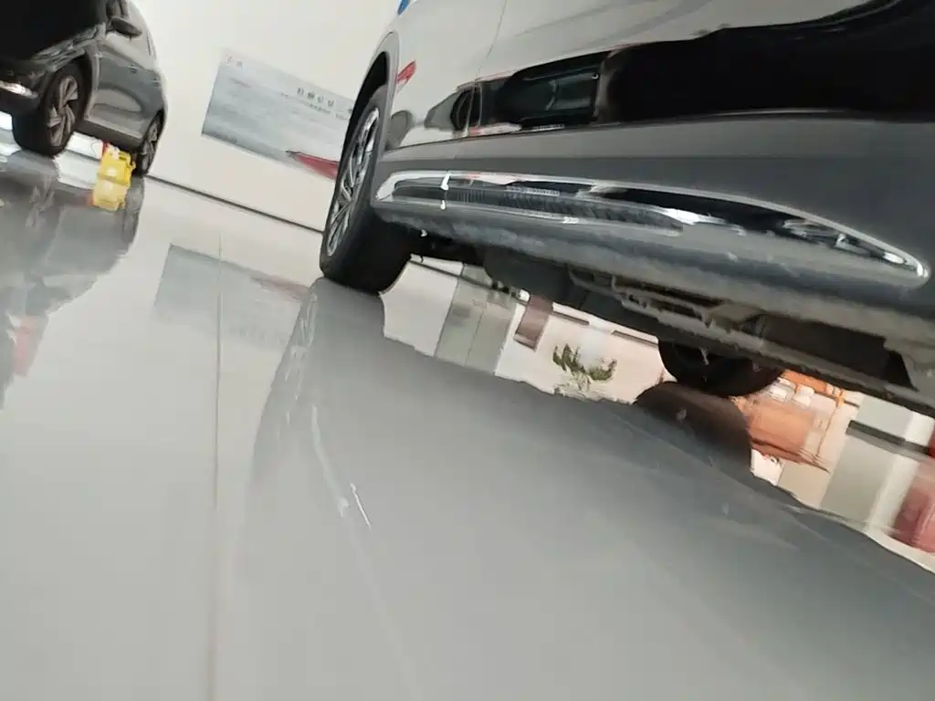 Hongqi HS7 PHEV 2024 2.0T PHEV 6 мест