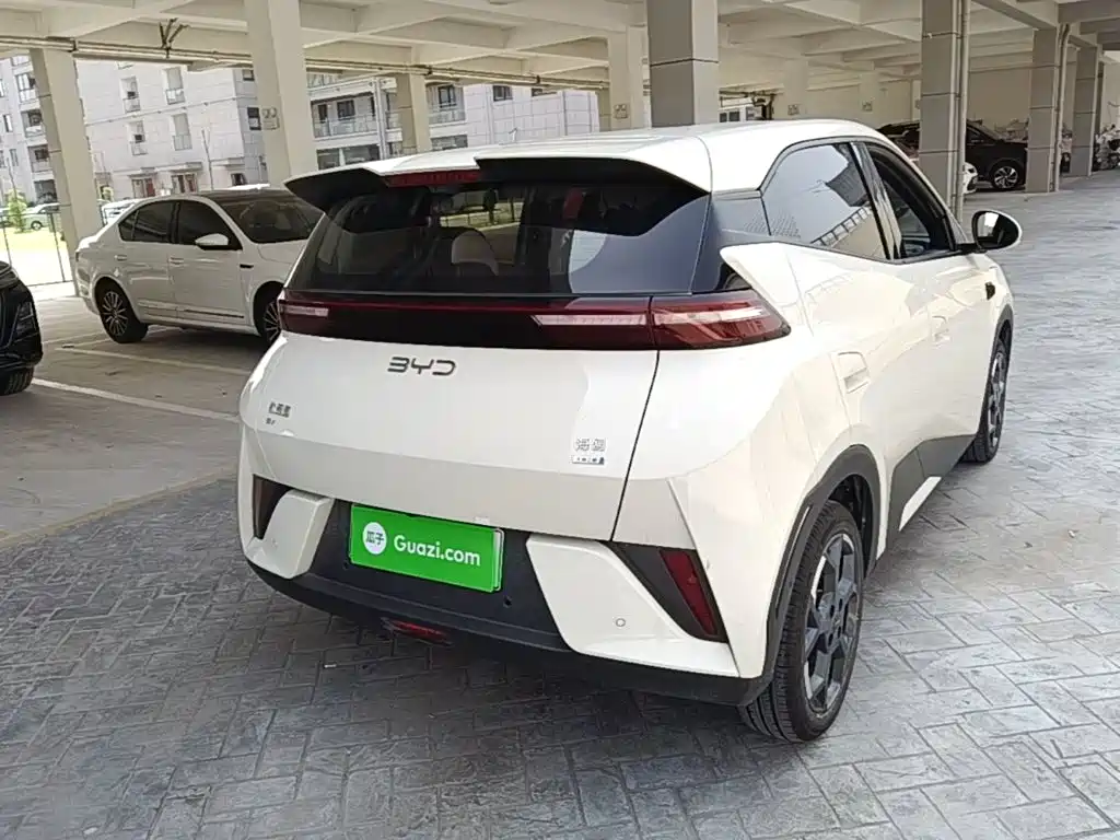 BYD Seagull 2025 Smart Drive 305km Freedom