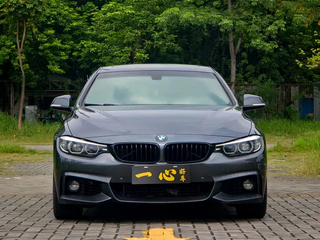BMW 4 Series — миниатюра 2