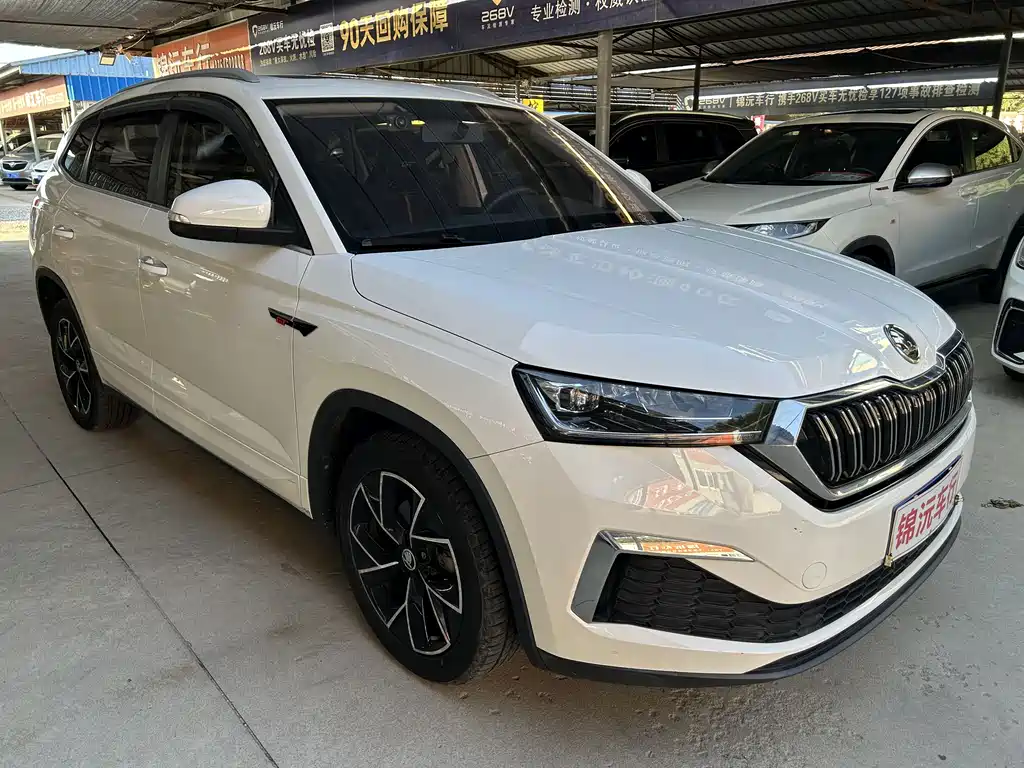 Skoda Kamiq — миниатюра 3