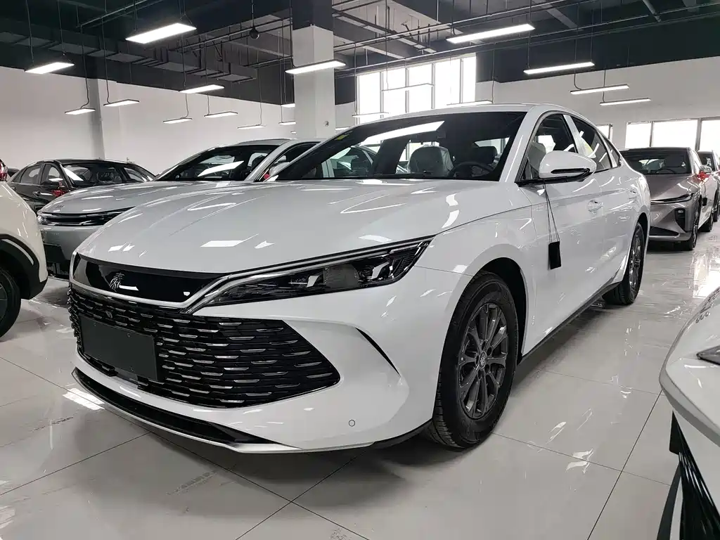 秦L 2026款 DM-i 128KM进取型