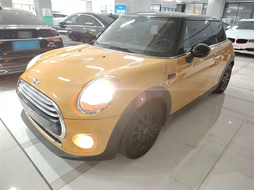 Mini Mini 2016