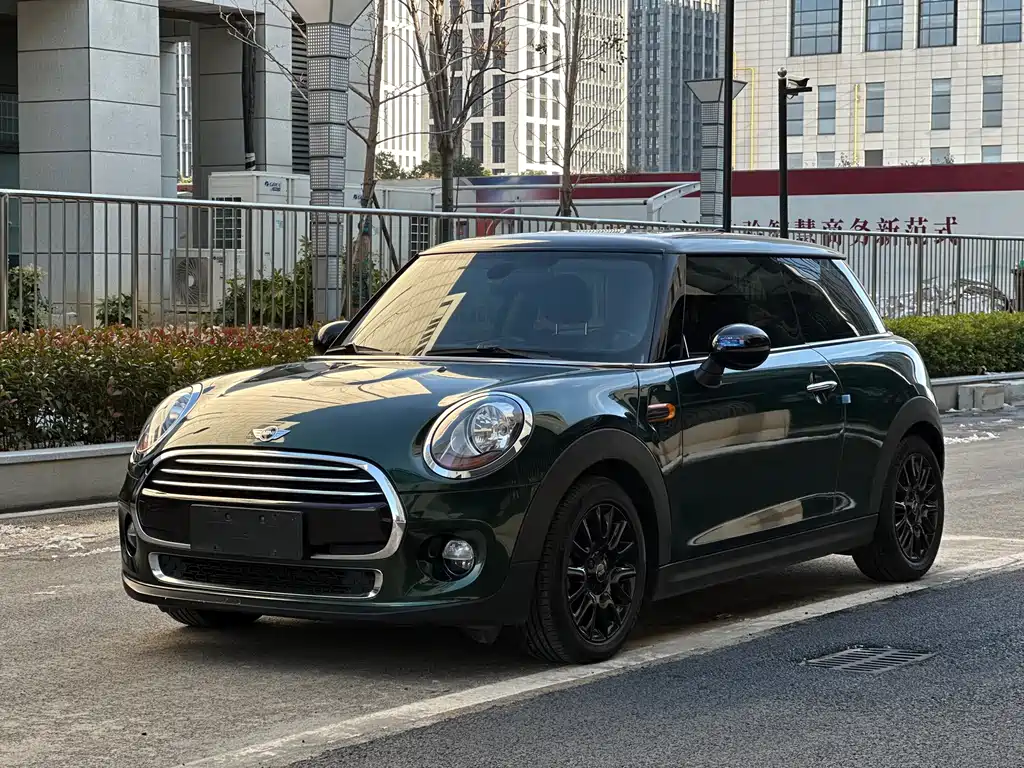 Mini Mini 2018