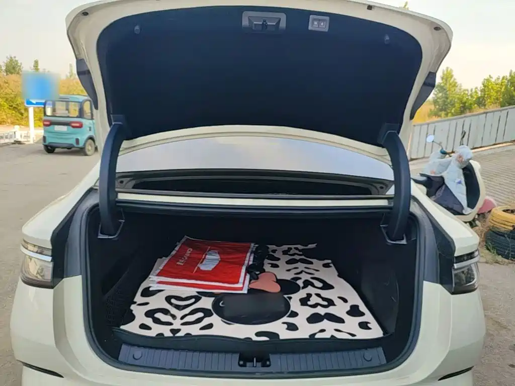 BYD Seal 07 DM-i — миниатюра 19