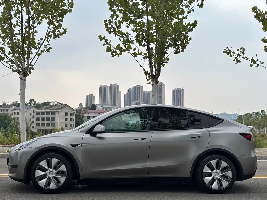 Tesla Model Y — миниатюра 4