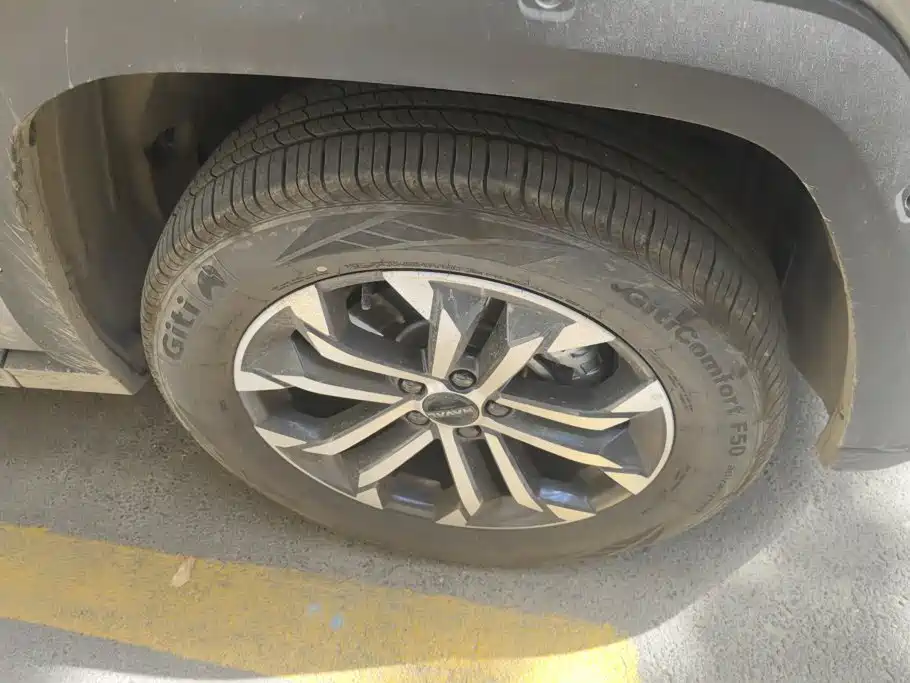 Haval Big Dog PLUS — миниатюра 6