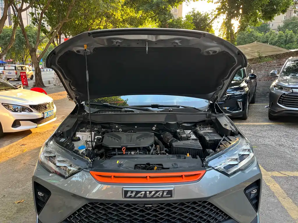 Haval H6S — миниатюра 15