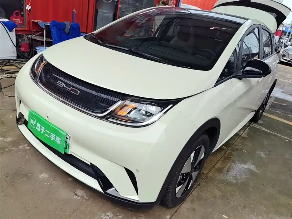 Byd Dolphin 2023