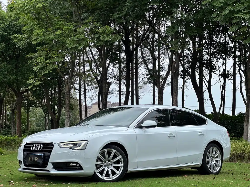 Audi A5 (Import) — миниатюра 10
