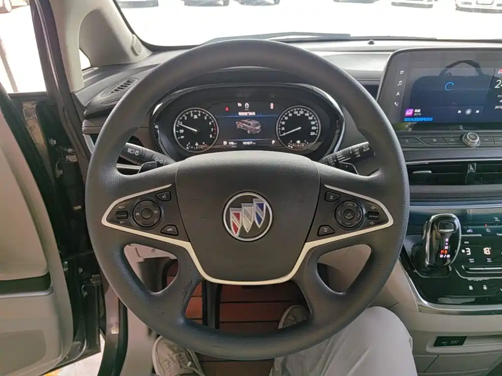 Buick GL8 — миниатюра 11