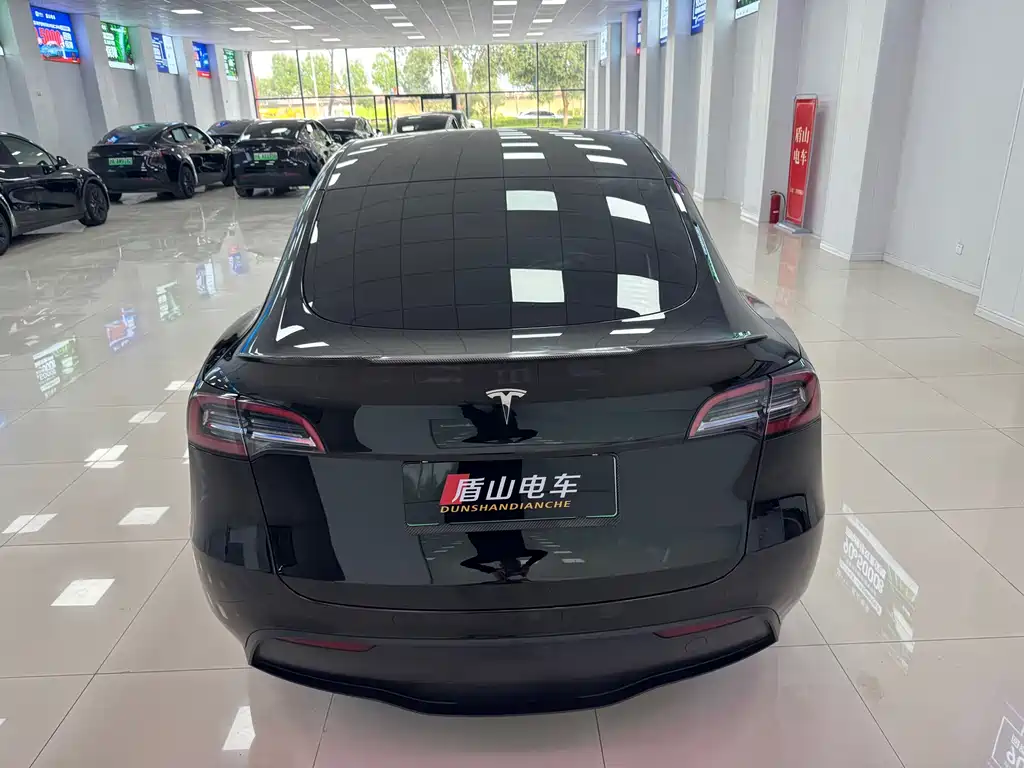 Tesla Model Y — миниатюра 5