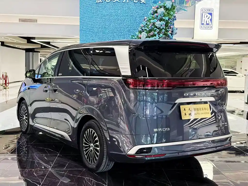 Denza Denza D9 — миниатюра 24