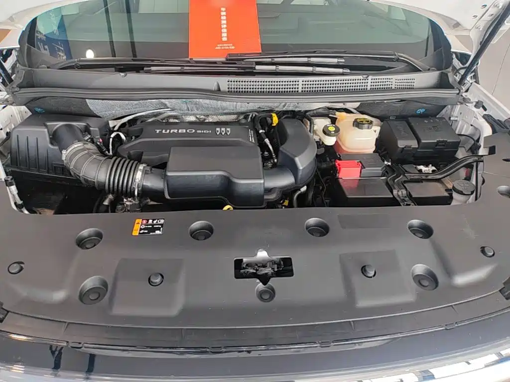 Buick GL8 — миниатюра 20