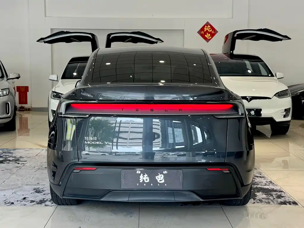 Tesla Model Y — миниатюра 14
